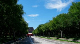 Beijing completará restauración ecológica de 8.000 hectáreas en 2023