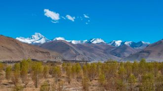 China rebaja nivel de peligro de extinción de casi 500 especies silvestres
