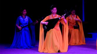 “Fósil viviente” de China: El Nanyin, una tradición musical que lucha por seguir vigente