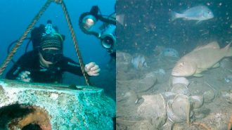 China comienza a restaurar su galeón más valioso, equiparado al Ejército de Terracota