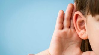 Estudio logró que cinco niños con sordera hereditaria recuperaran el habla y la audición