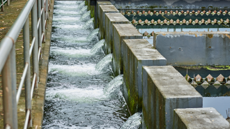 Proyecto chino de tratamiento de aguas residuales gana máximo premio global de innovación
