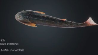 China halla fósil de pez que podría ser clave en evolución de las extremidades terrestres