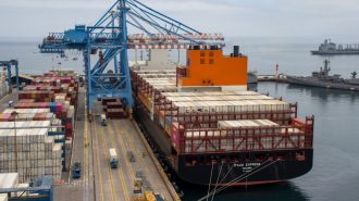 Comenzó temporada de cerezas en Puerto Valparaíso: Masivos envíos irán a China