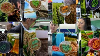 China lanza este mes en Chile la tercera exposición sobre cadena de suministro