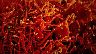 China dice que el coronavirus se encontró en muchas partes en otoño de 2019