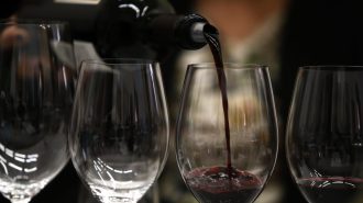 China se convierte en “mercado estratégico” para el vino chileno