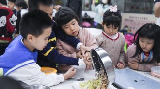 “Habilidades para la vida”: escolares chinos aprenderán cocina y limpieza