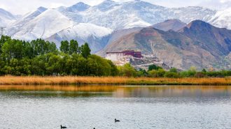 Descubriendo los secretos de los lagos en la meseta Qinghai-Tíbet