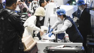 China elimina la declaración de salud obligatoria para entrar o salir del país