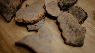 Descubren vestigios de actividad humana de hace 55.000 años en el suroeste de China