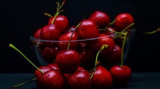 Cerezas chilenas logran récord de envíos en enero