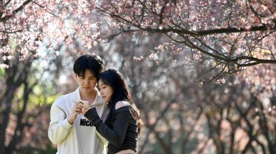 {title}