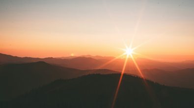 {title}