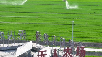 China planifica tareas clave de digitalización rural