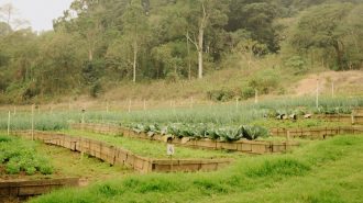 Honduras suscribió con China un convenio para la construcción de escuelas agrícolas