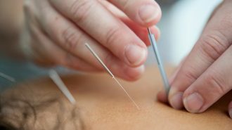 Producción de materiales para medicina tradicional china crece constantemente