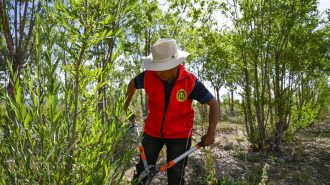 Innovador sistema de cuentas de carbono gana terreno en la región china de Xizang