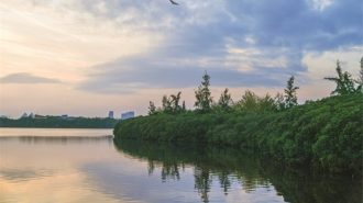 China Hoy: El ejemplo del lago Yundang