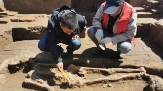 China Hoy: Los orígenes de la civilización china