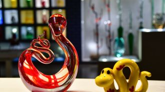 China Hoy: La riqueza simbólica de la serpiente