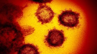 Advierten del peligro de politizar la trazabilidad del origen del coronavirus