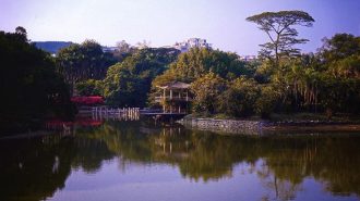 China sumó un segundo jardín botánico nacional