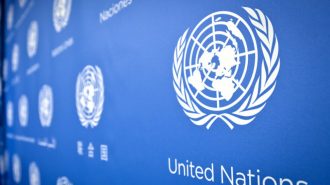 Expertos chilenos opinan sobre el informe no oficial de la ONU sobre la región china de Xinjiang