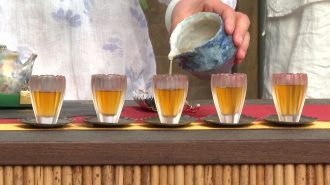 La tradición milenaria del té en el Festival Internacional de Beijing
