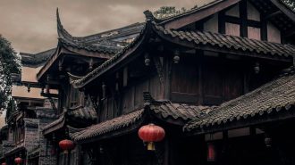 Efecto China: La teoría de los cinco elementos que componen la medicina tradicional China