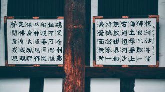 Exhibición en China recorre la evolución del Hanzi, uno de los sistemas de escritura más antiguos del mundo
