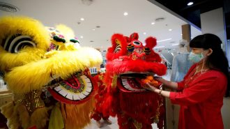 ¿Cómo celebra China la Fiesta de la Primavera?