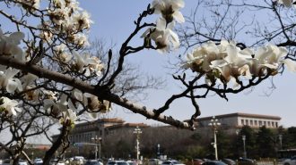 Efecto China: Las características de las principales ciudades del gigante asiático