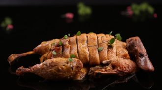 Platos de los 24 períodos solares: Aprende a preparar un pato crujiente en Chushu