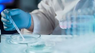 Beijing incluye la reproducción asistida a su seguro médico público