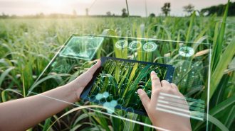 Técnicos agrícolas digitales, otra de las profesiones que incorporó China a su lista oficial