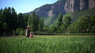 Recorriendo el campo chino: Convivencia armoniosa