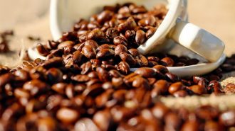 Shanghai, la ciudad con más cafeterías en el mundo, impulsa el consumo de café