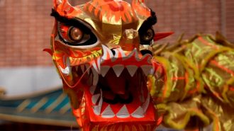 El baile del dragón, un ícono de la tradición china