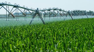 Efecto China: Desarrollo agrícola y brechas digitales
