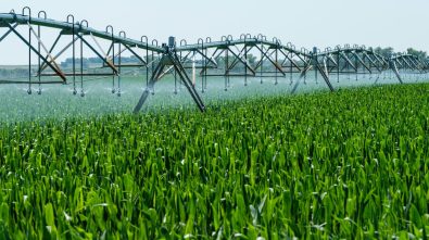 Efecto China: Desarrollo agrícola y brechas digitales