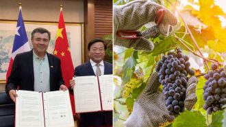 Chile y China firman acuerdo para fortalecer el trabajo agrícola