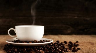 Mercado chino impulsa precios récord en el café de especialidad panameño