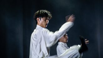 Aplausos de pie: Viña del Mar disfrutó de las coloridas danzas chinas