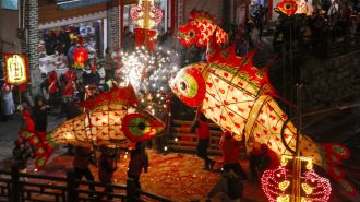 Linternas de pez desfilan en aldea china para atraer la buena fortuna