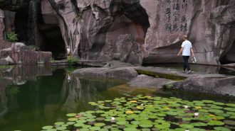 La búsqueda del desarrollo ecológico y sustentable de la isla china de Shepan
