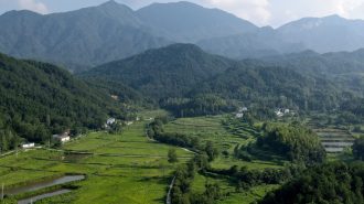 Reserva de Anhui Tianma: un refugio para la biodiversidad en China