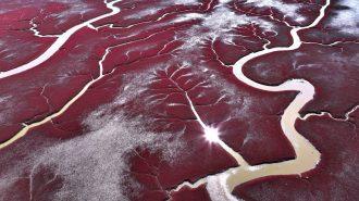 La Playa Roja de Honghaitan, un paisaje único creado por la naturaleza