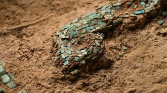 El “Dragón de China”: un tesoro histórico, artístico y científico de 2.000 piezas