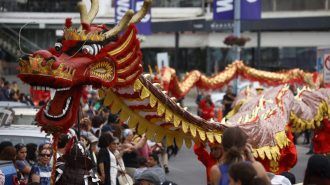 Viña del Mar celebra el Año Nuevo chino con colorido carnaval
